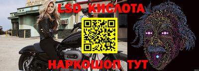 ГАЛЛЮЦИНОГЕННЫЕ ГРИБЫ Кимры