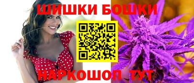 спайс Кингисепп