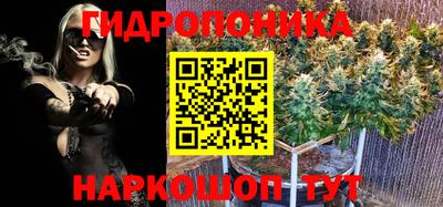 гашик Канаш