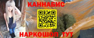 спайс Кингисепп