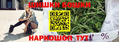 гашик Канаш