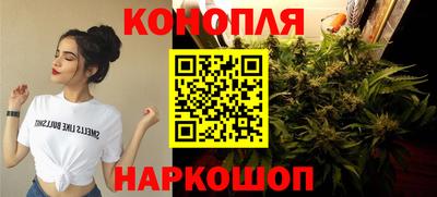 ПСИЛОЦИБИНОВЫЕ ГРИБЫ Камышлов