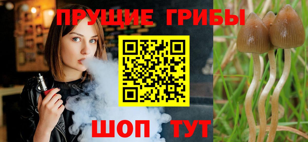 Галлюциногенные грибы Cubensis Кызыл