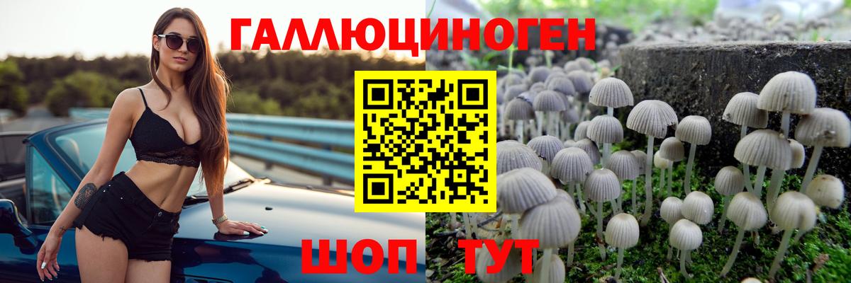 Псилоцибиновые грибы Cubensis  Псилоцибиновые грибы мицелий  Кызыл  наркошоп  Вход с VPN 