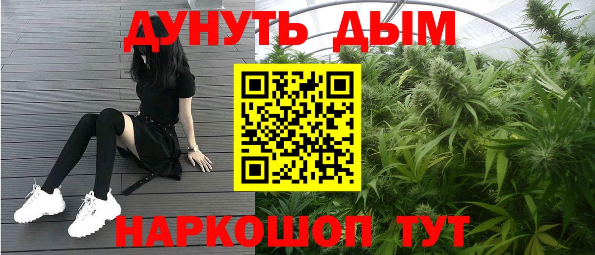 Марихуана сатива Кызыл